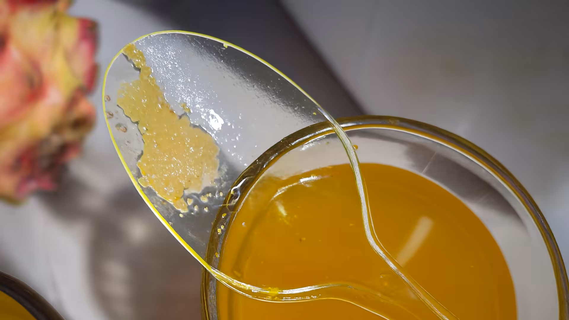 Madu Mengkristal di Dasar Botol